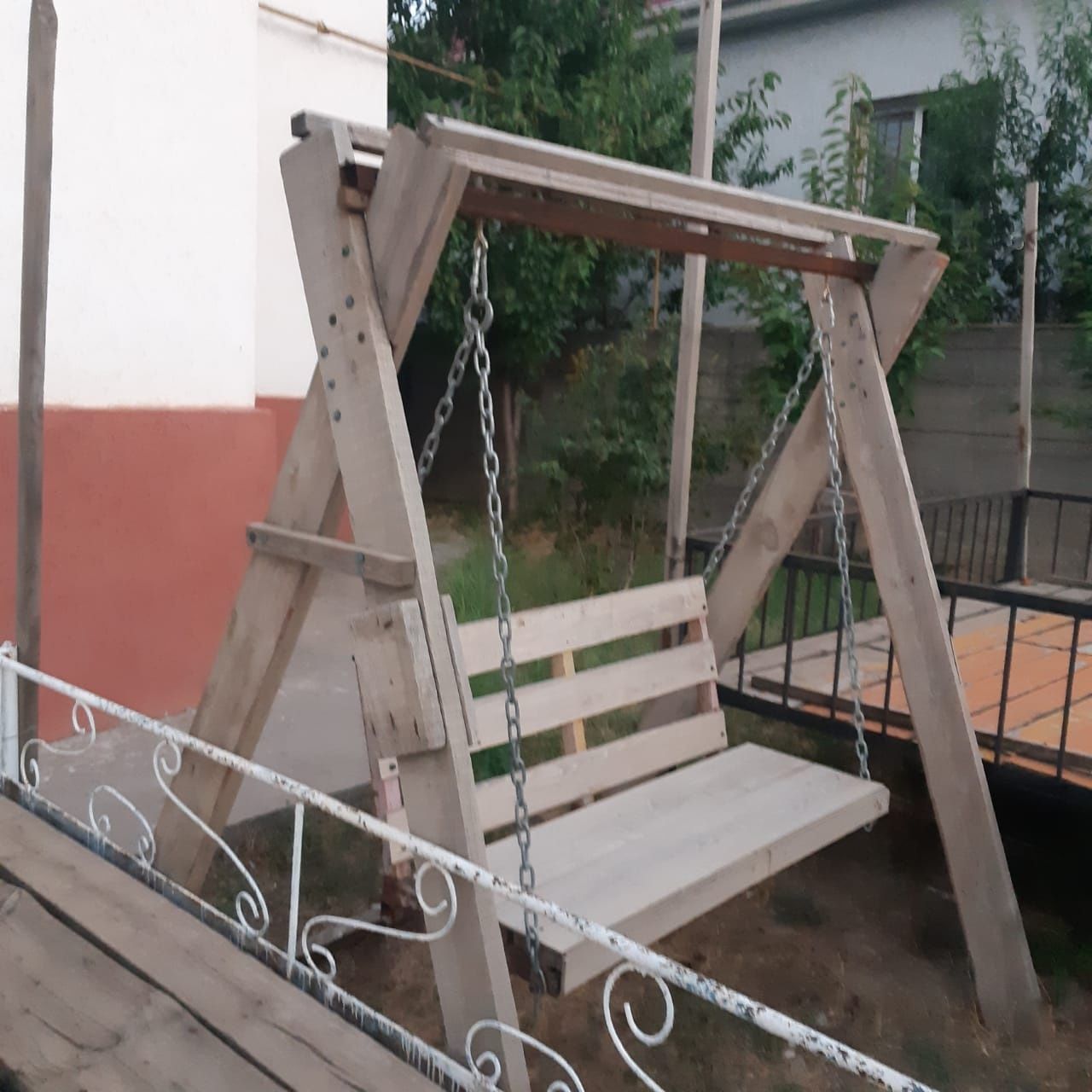Качелия  садовая.
