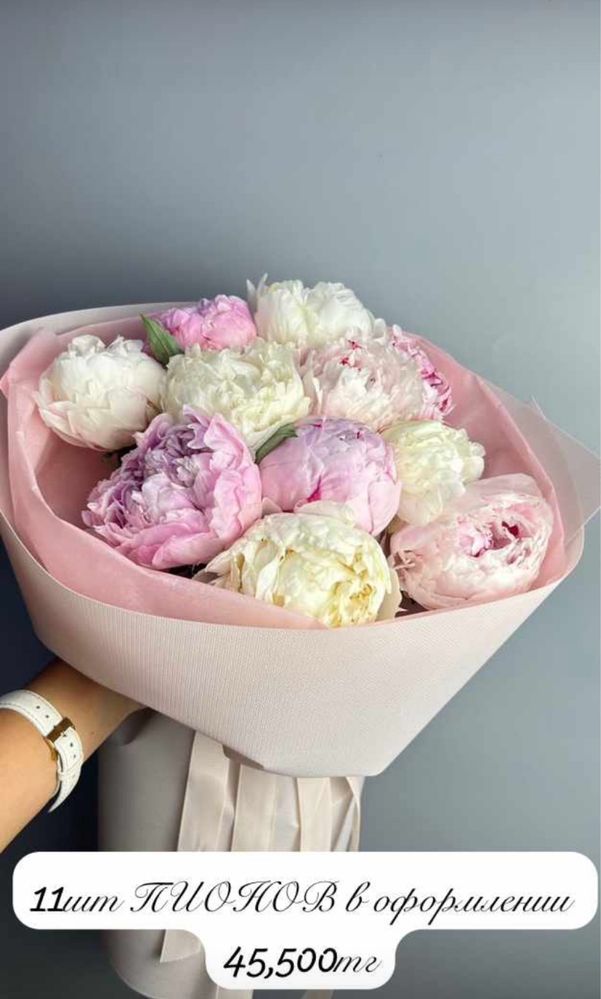 Пионы голландские цветы пионы