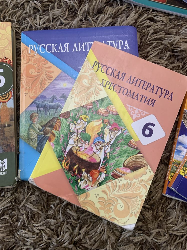 Учебники 6 класс