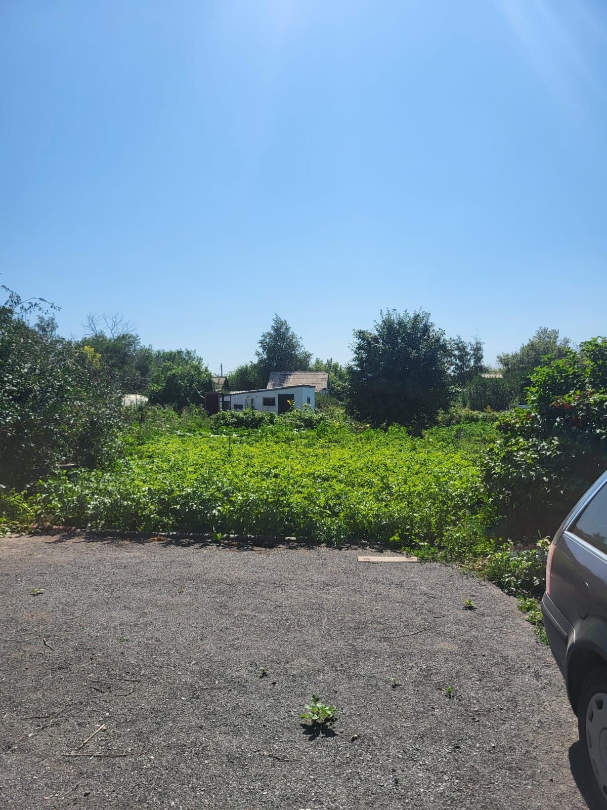Продам дачу  10 соток. Возможен торг.