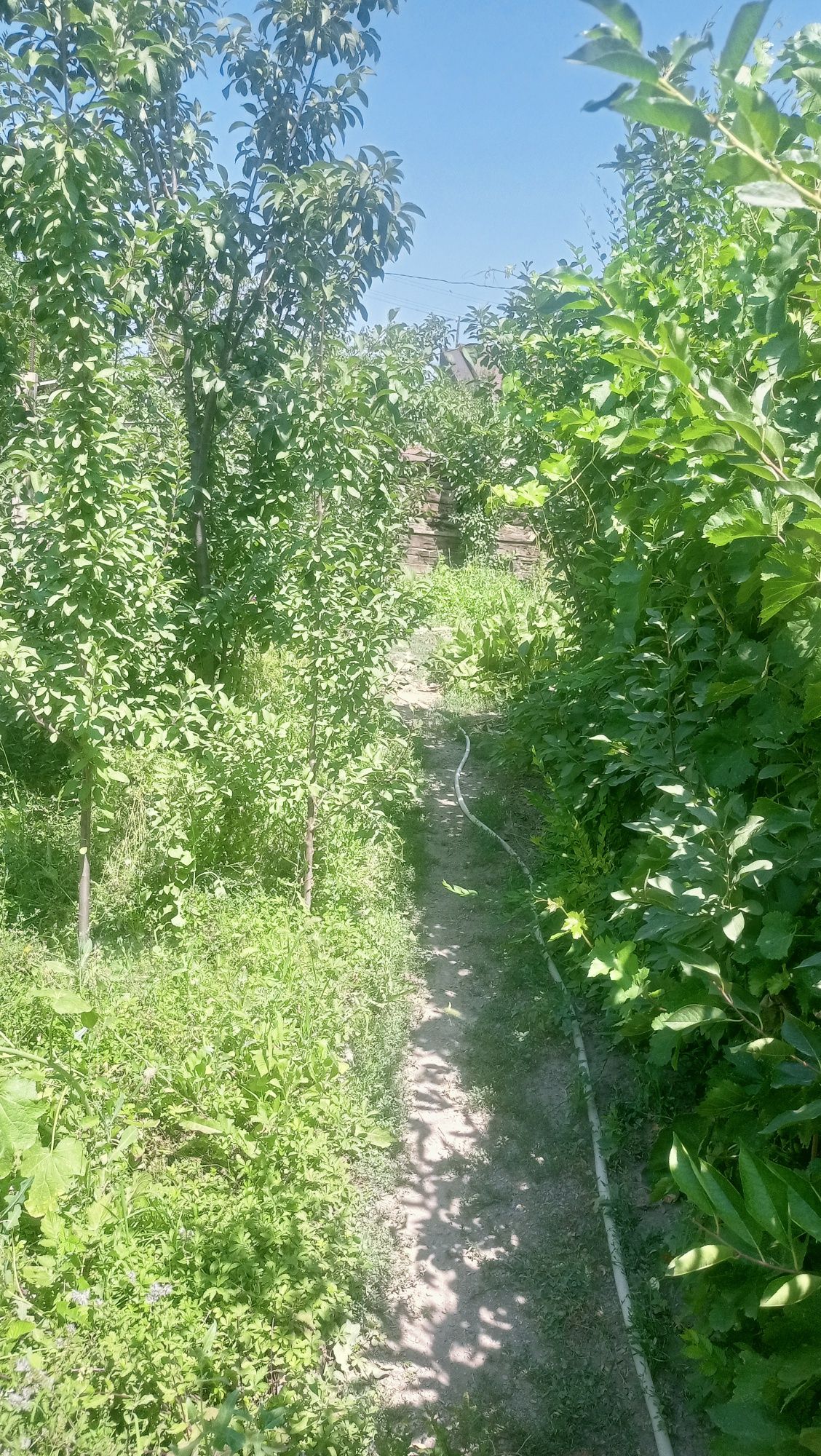 Продам дом за линией рядом с пекарней Пышка .Дом  двух этажныйй