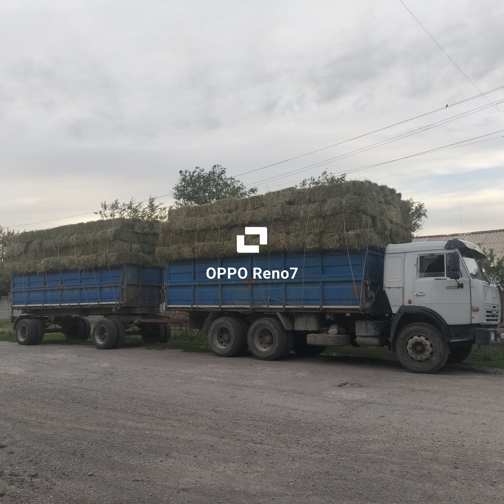Сено люцерна, разнотравье с доставкой КАМАЗ С ПРИЦЕПОМ