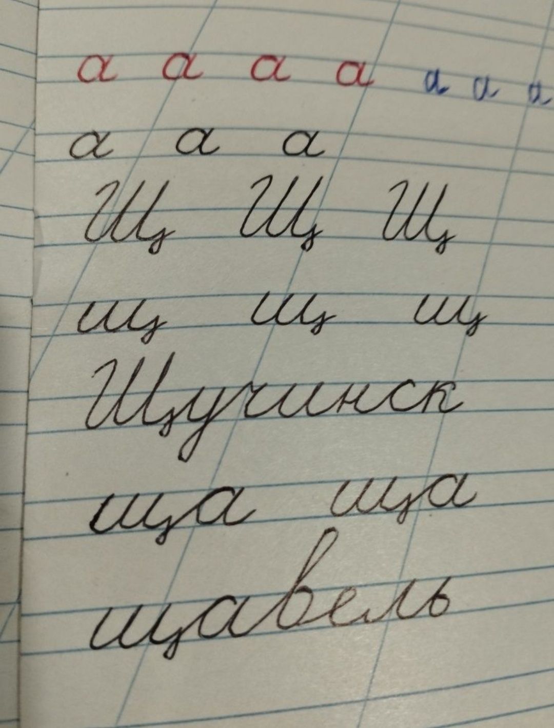 Репетитор  начальных классов и английского языка