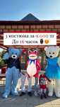мишки тедди на прокат, в аренду/ костюмы ростовых кукол