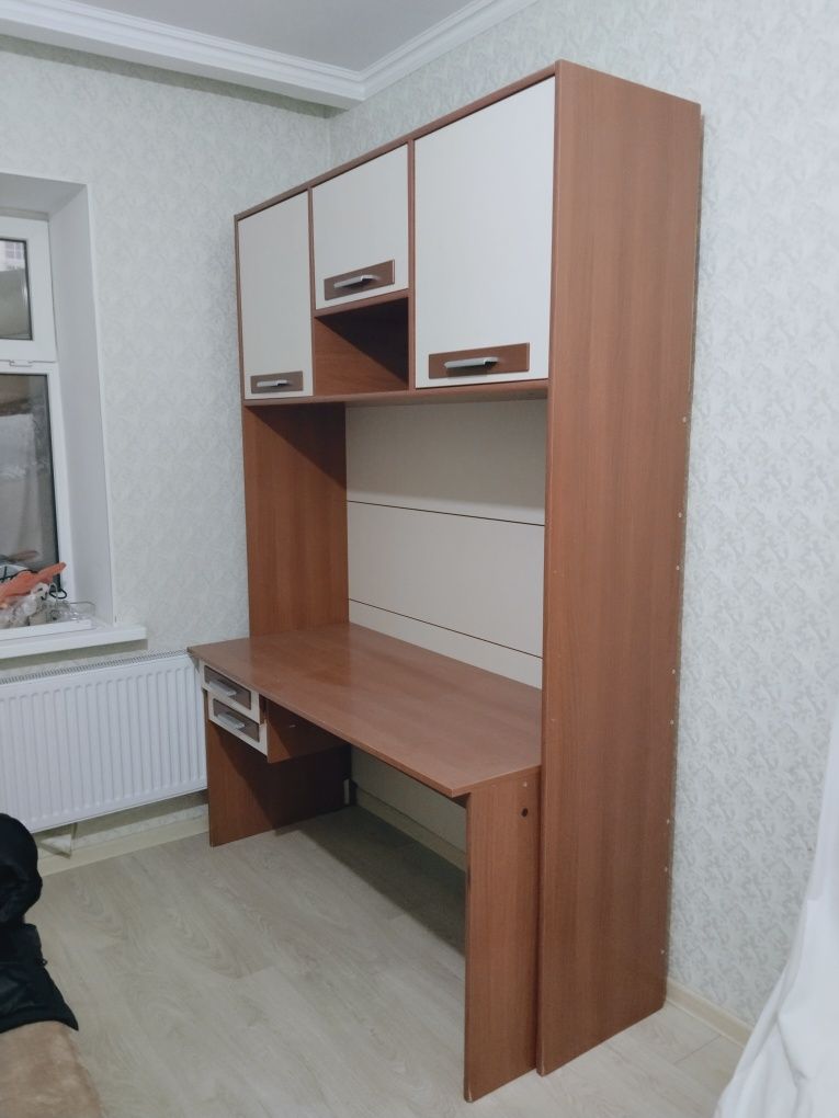 Универсальный стол-шкаф для школьников