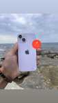 iPhone 14/Айфон 14