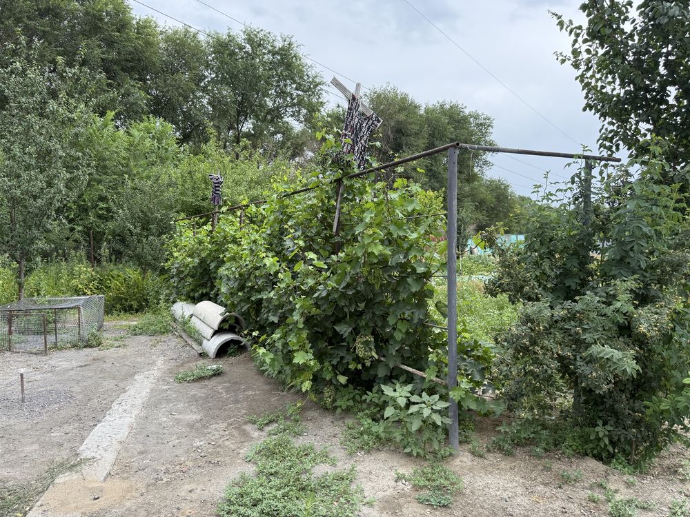Продам дом  с большим  участком