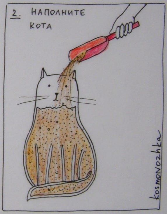 Различные наполнители для кошек и котят с доставкой