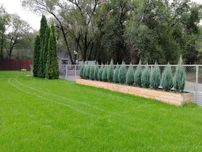 Зеленый газон под ключ