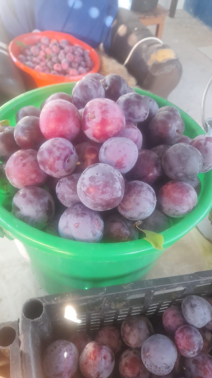 фрукты на продажу