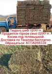 Продаётся горное сено