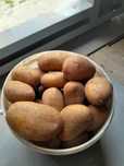 Продам картофель