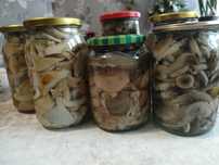 Продам маринованные грибы