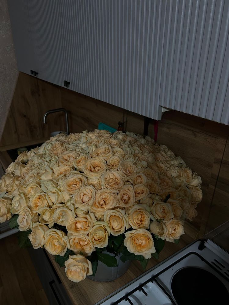 Цветы роза 201штук торг есть