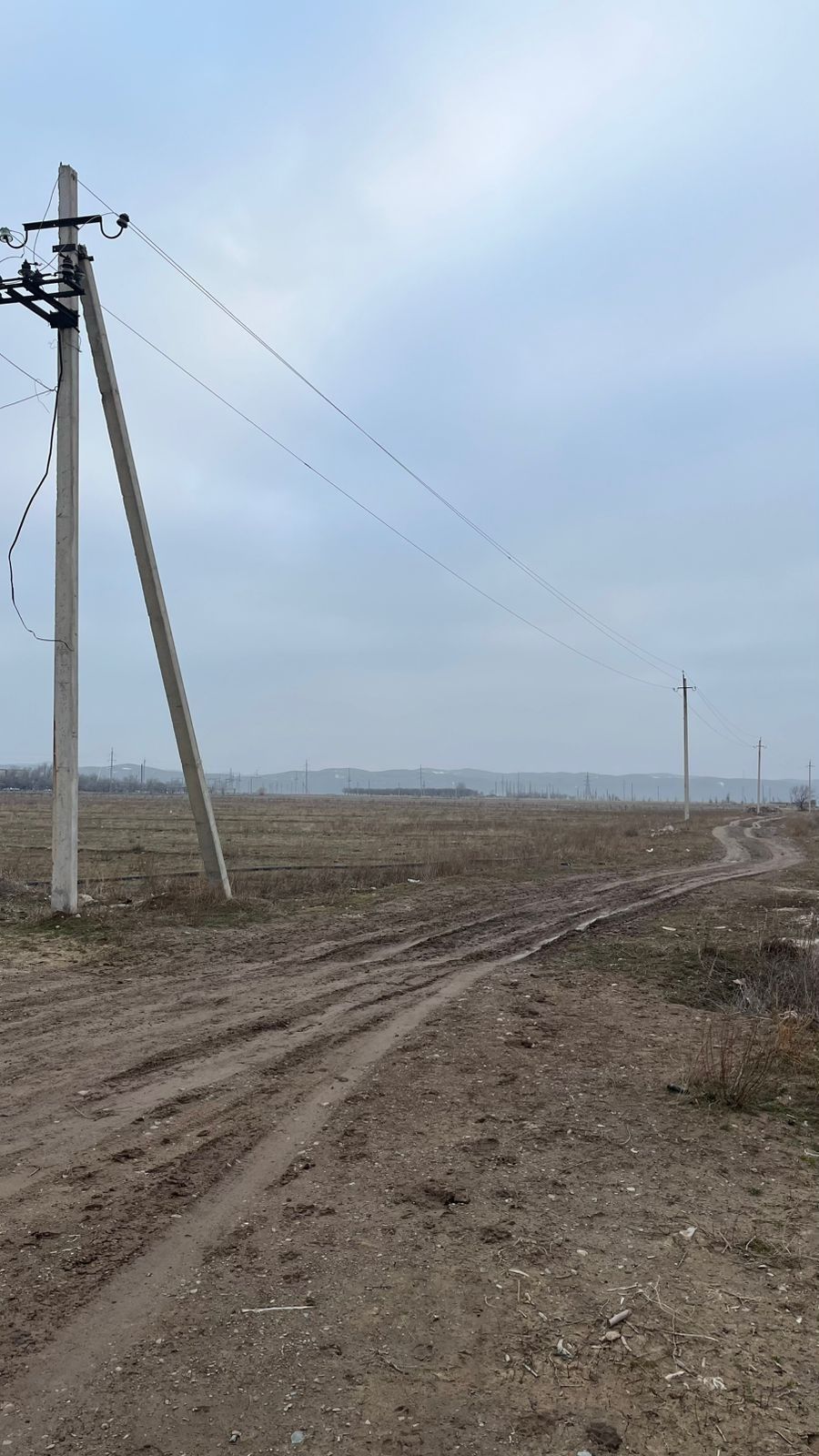 Продам крестьянское хозяйство