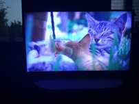 Телевизор LG Smart TV 2018