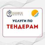 Сопровождение по тендерам/госзакупки/аукционы/торги