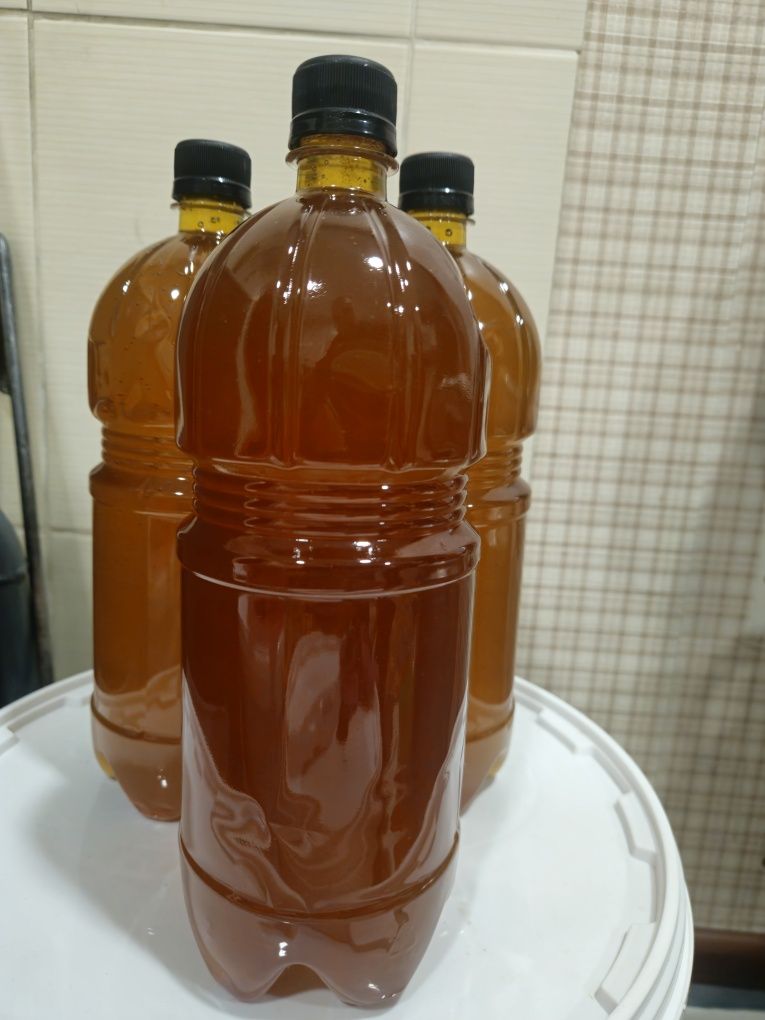 Продам свежий мед 2025