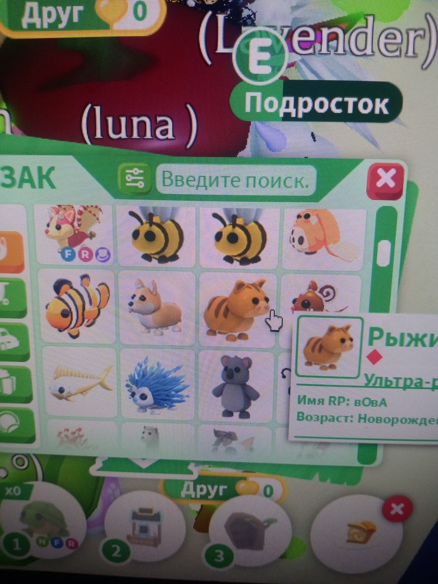 АДОПТ ПЕТЫ продаю по каспи