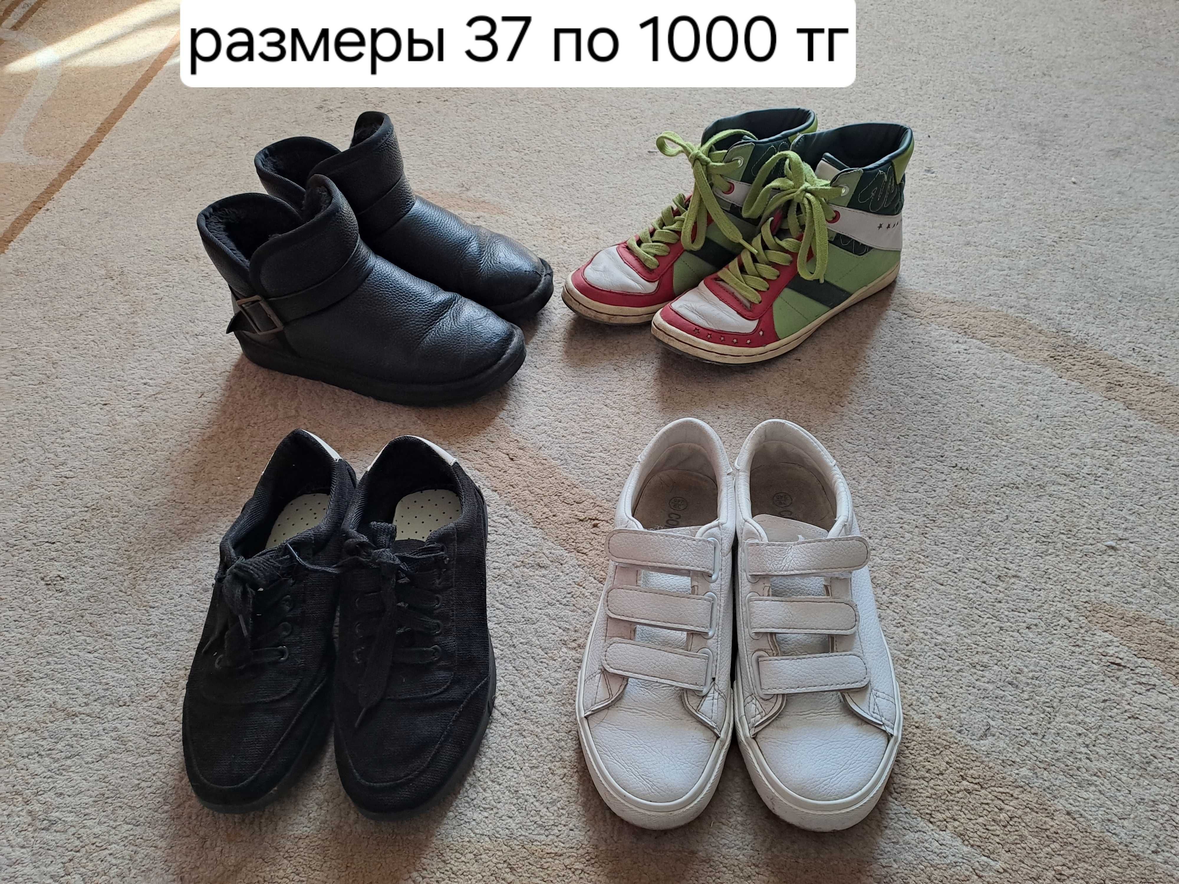 Женские сапоги р 37