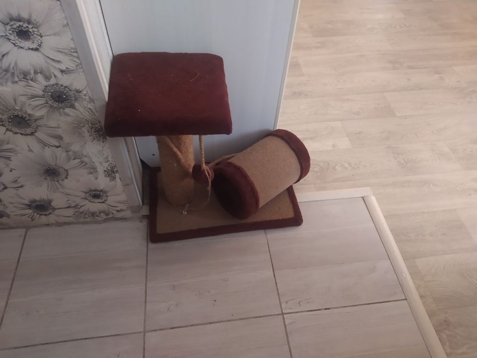 Продам когти точку для кошек