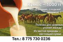 Тәтті балдай Қымыз, вкусный  Кумыс