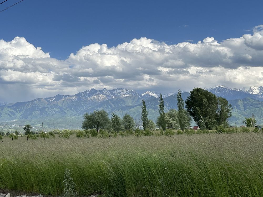 Продам земельный участок село Акдала