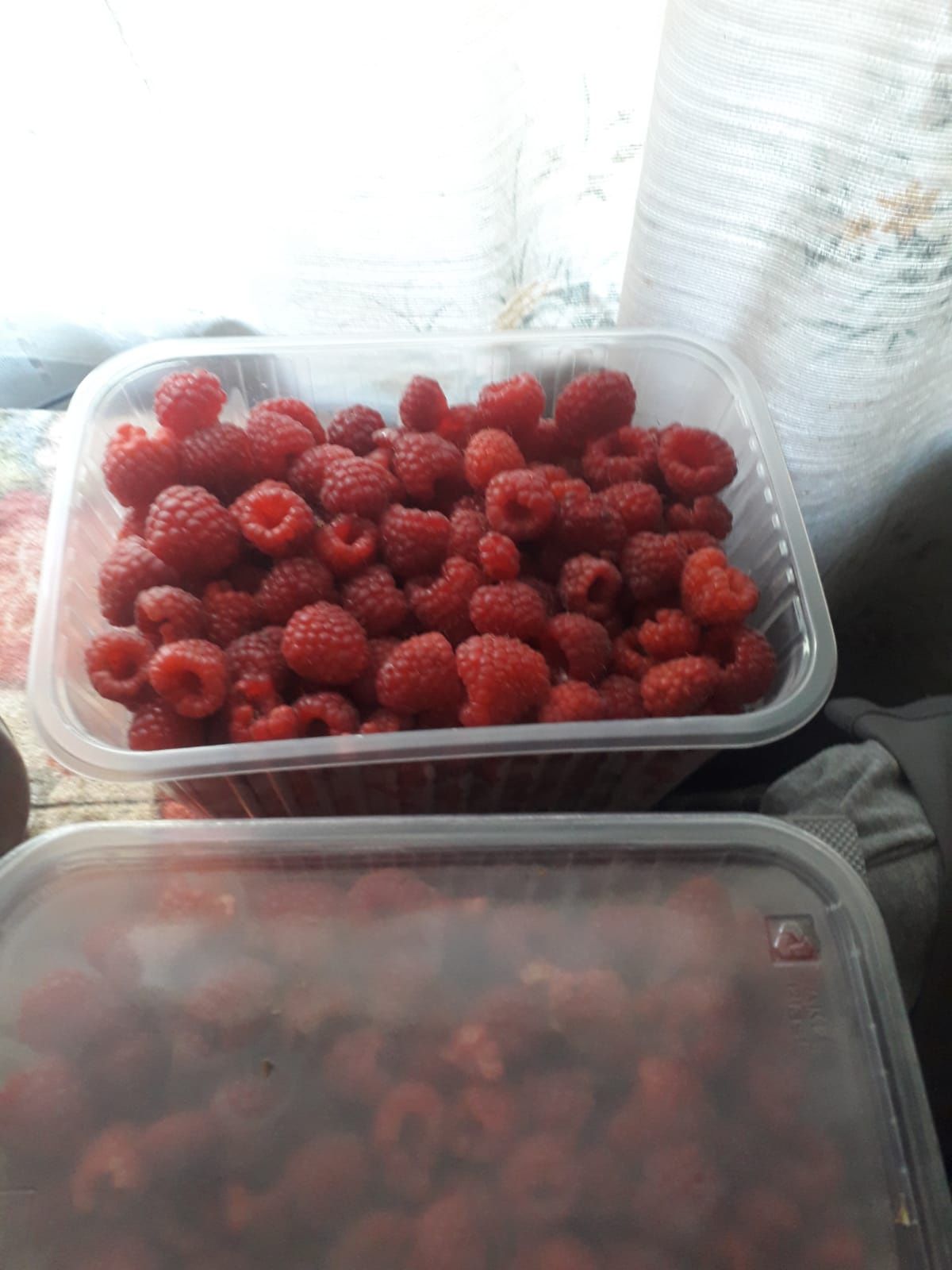 Продам малину домашнюю