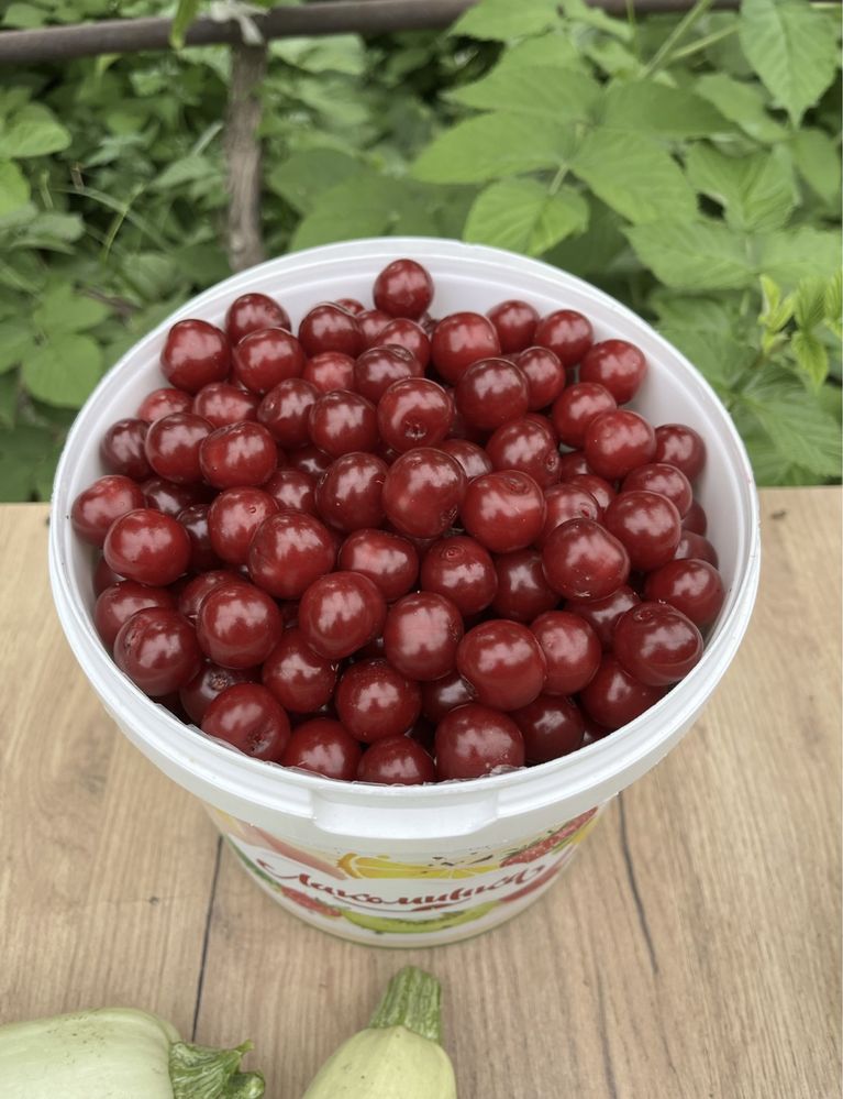 Продам крупную вишню 1л-500тг