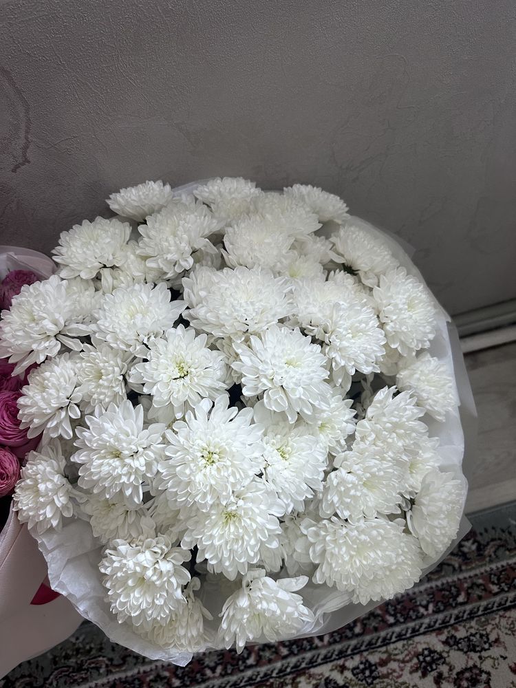 Гүл сатылады , түнде келді свежий