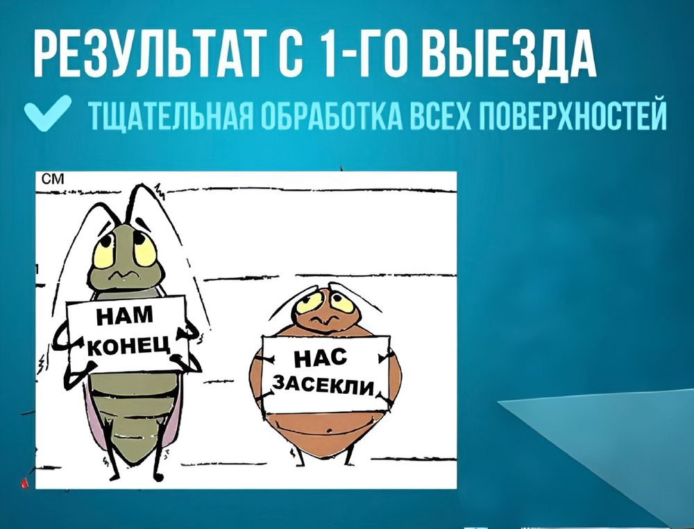 Уничтожение тараканов, клопов, клещей дезинфекция қандала кандала