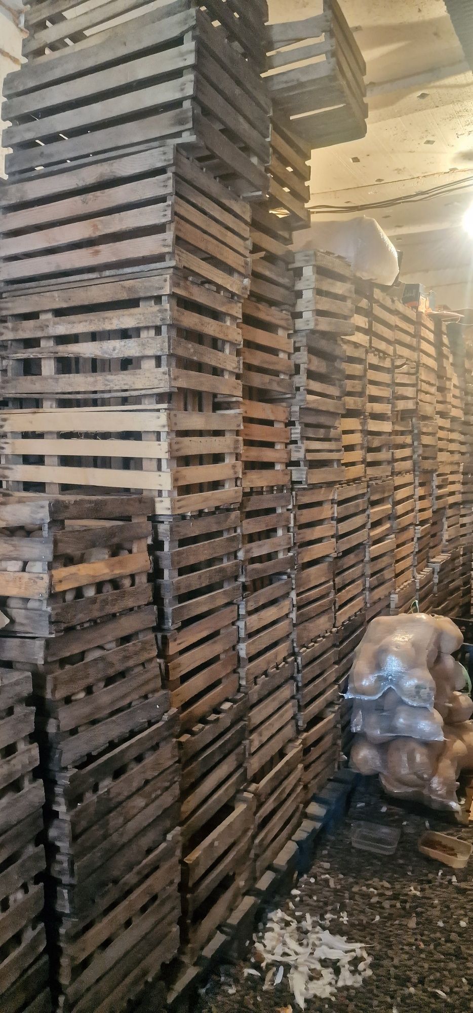 продам деревянные ящики