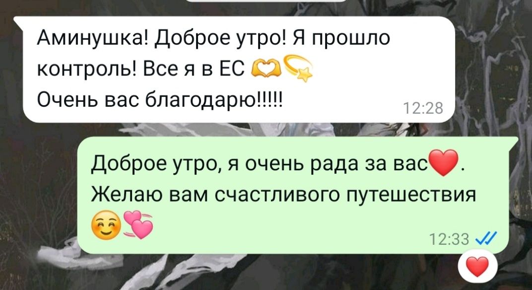 Оформление Шенген виз