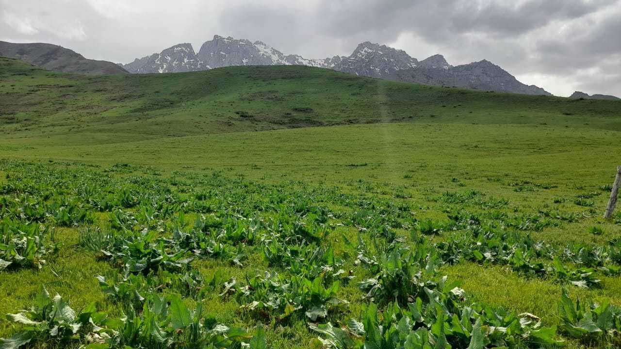 Продаётся фазенда паздбищным угодием в горах