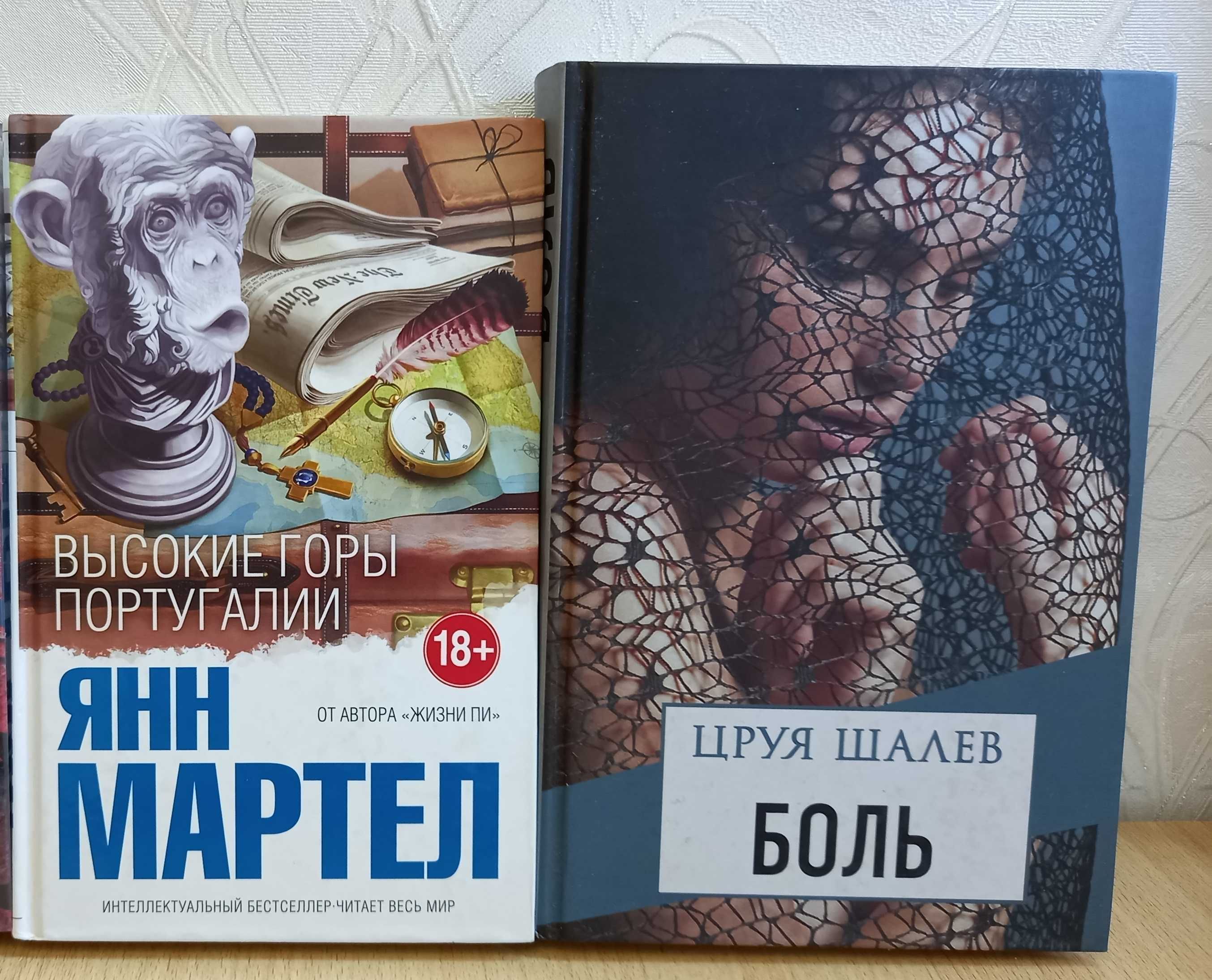 Современный роман. Классика. Книги разных жанров.