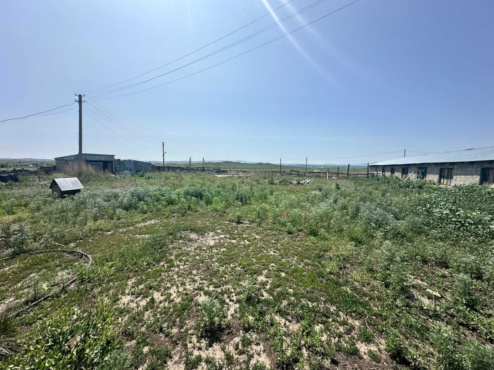 В продаже Крестьянское Хозяйство Касыма Кайсенова