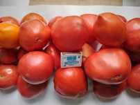 Продам помидоры отборные