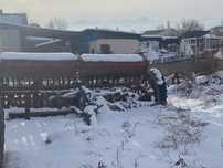 Зерновая сеялка