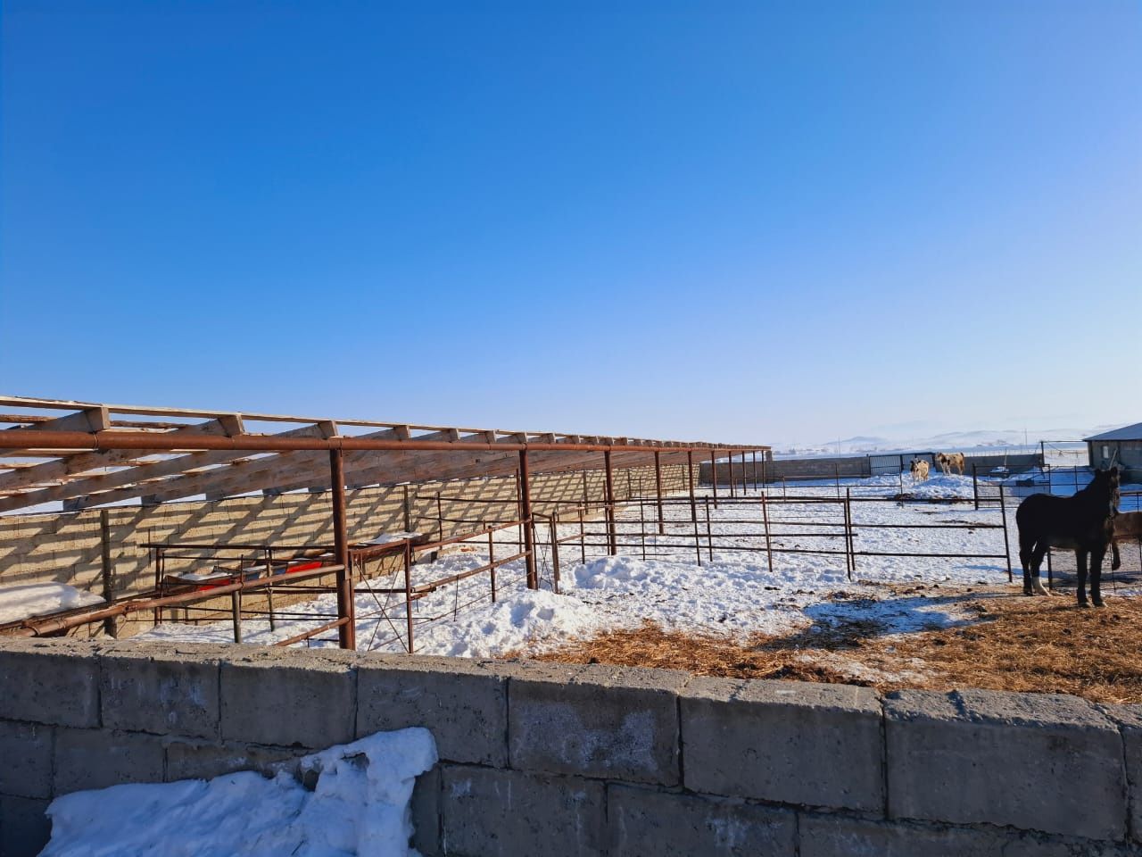 Продам крестьянское хозяйство, откорм площадка