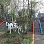 Парковые скульптуры коров