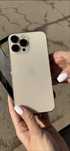 iPhone 13 Pro Max 256 Gb