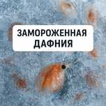 Корм для рыбок дафния замороженная