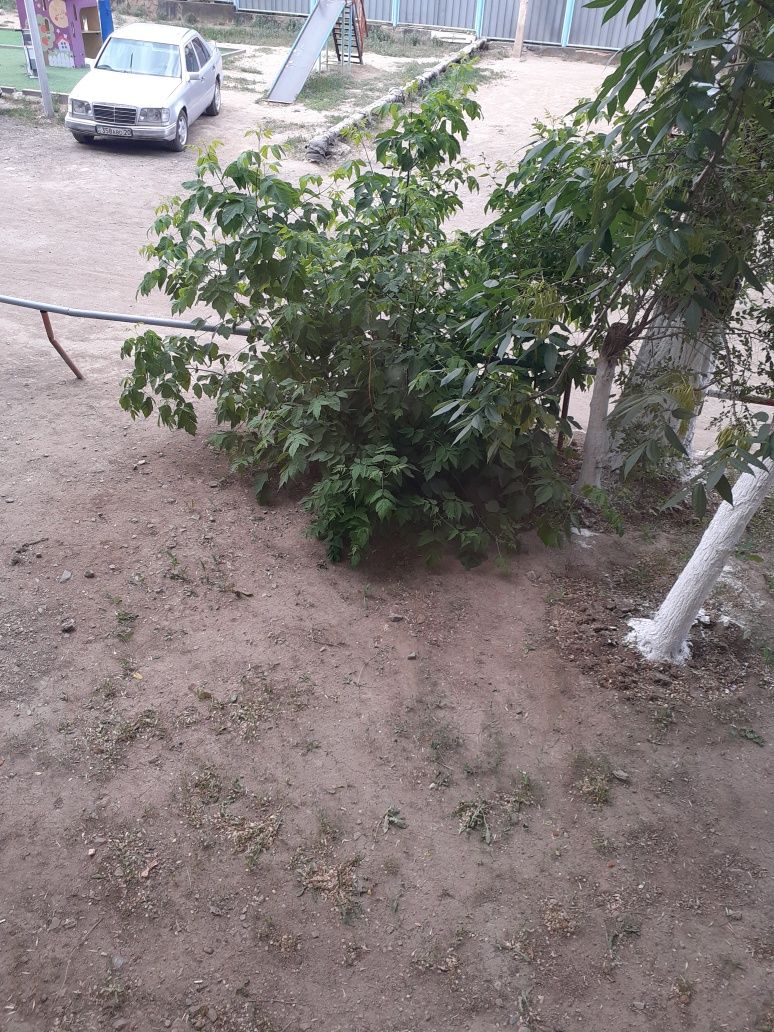 Продам  Мерседес БЭНЦ