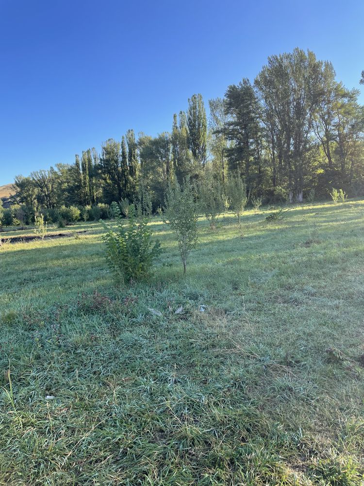 Продам поле,рядом лагерь Быковского