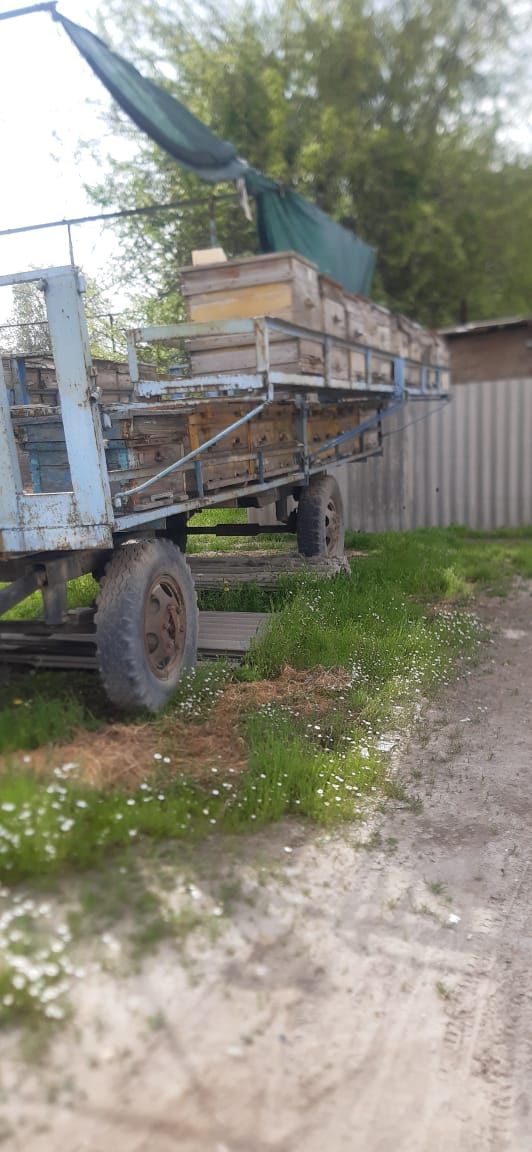 Тележка с пчелами
