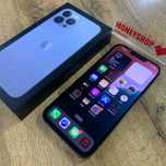 А21 Сотовый телефон APPLE iPhone 13 Pro Max 256GB
