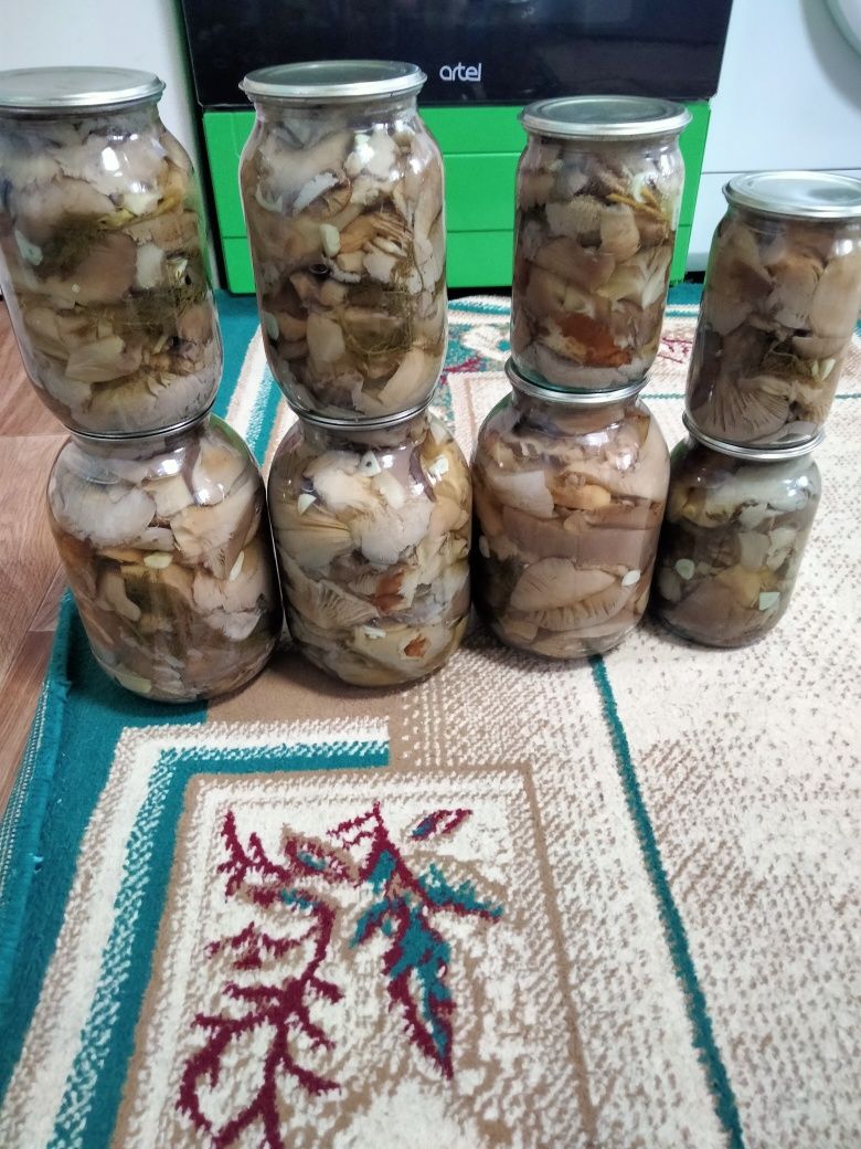 Продам грибочки звоните