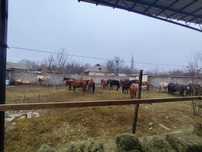 Кунан Баитал бар