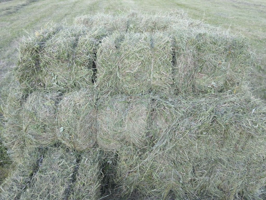 Продам сено лесное