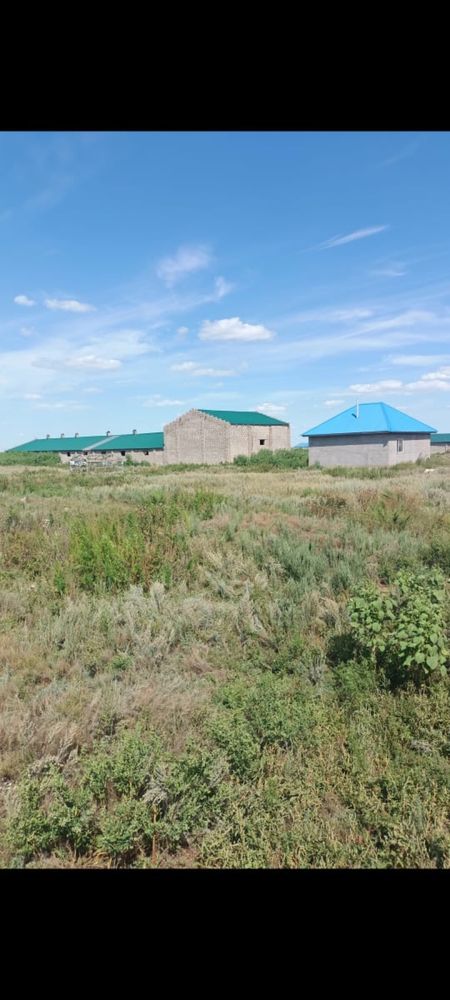 Фазенда үйімен астана